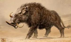 Le sanglier d'Érymanthe, une créature mythologique aux défenses impressionnantes, avance dans un paysage désertique.