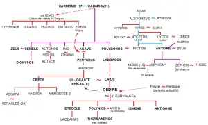 Arbre généalogique d'Œdipe, retraçant ses ancêtres et descendants, de Cadmos à ses fils.