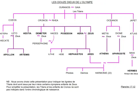 Arbre généalogique des dieux grecs, montrant la famille de Zeus, ses parents, frères, sœurs et enfants.