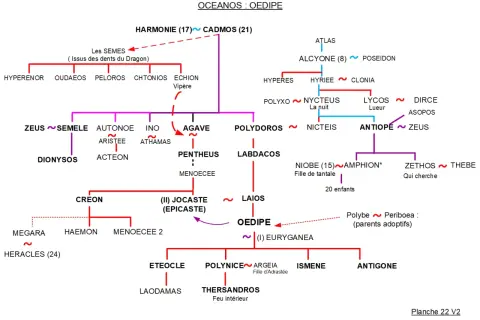 Arbre généalogique d'Œdipe, retraçant ses ancêtres et descendants, de Cadmos à ses fils.