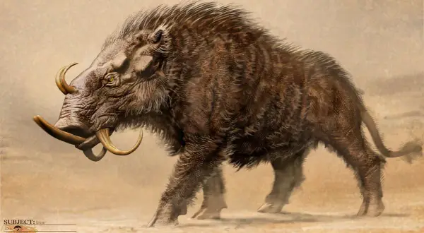 Le sanglier d'Érymanthe, une créature mythologique aux défenses impressionnantes, avance dans un paysage désertique.
