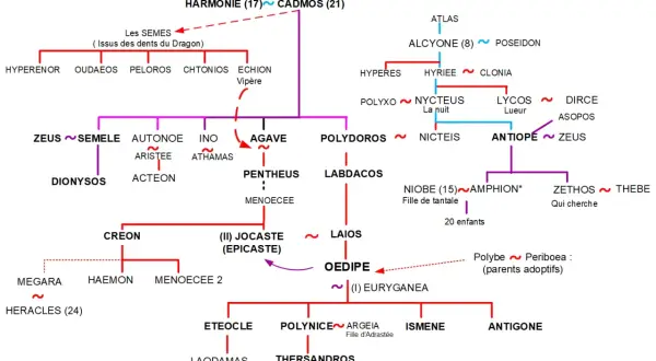 Arbre généalogique d'Œdipe, retraçant ses ancêtres et descendants, de Cadmos à ses fils.