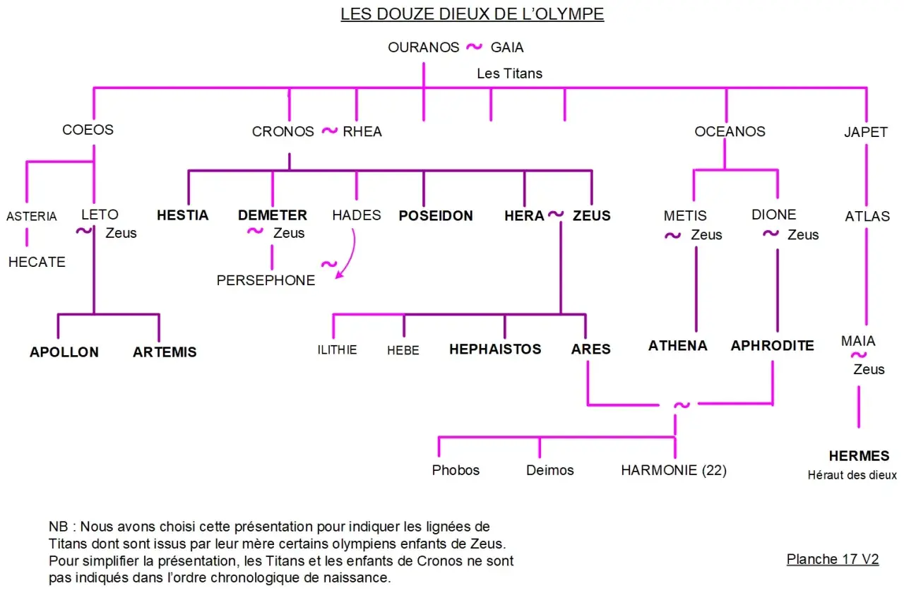 Arbre généalogique des dieux grecs, montrant la famille de Zeus, ses parents, frères, sœurs et enfants.