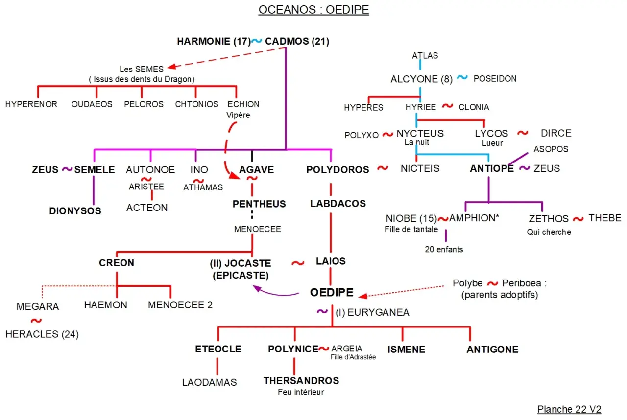 Arbre généalogique d'Œdipe, retraçant ses ancêtres et descendants, de Cadmos à ses fils.