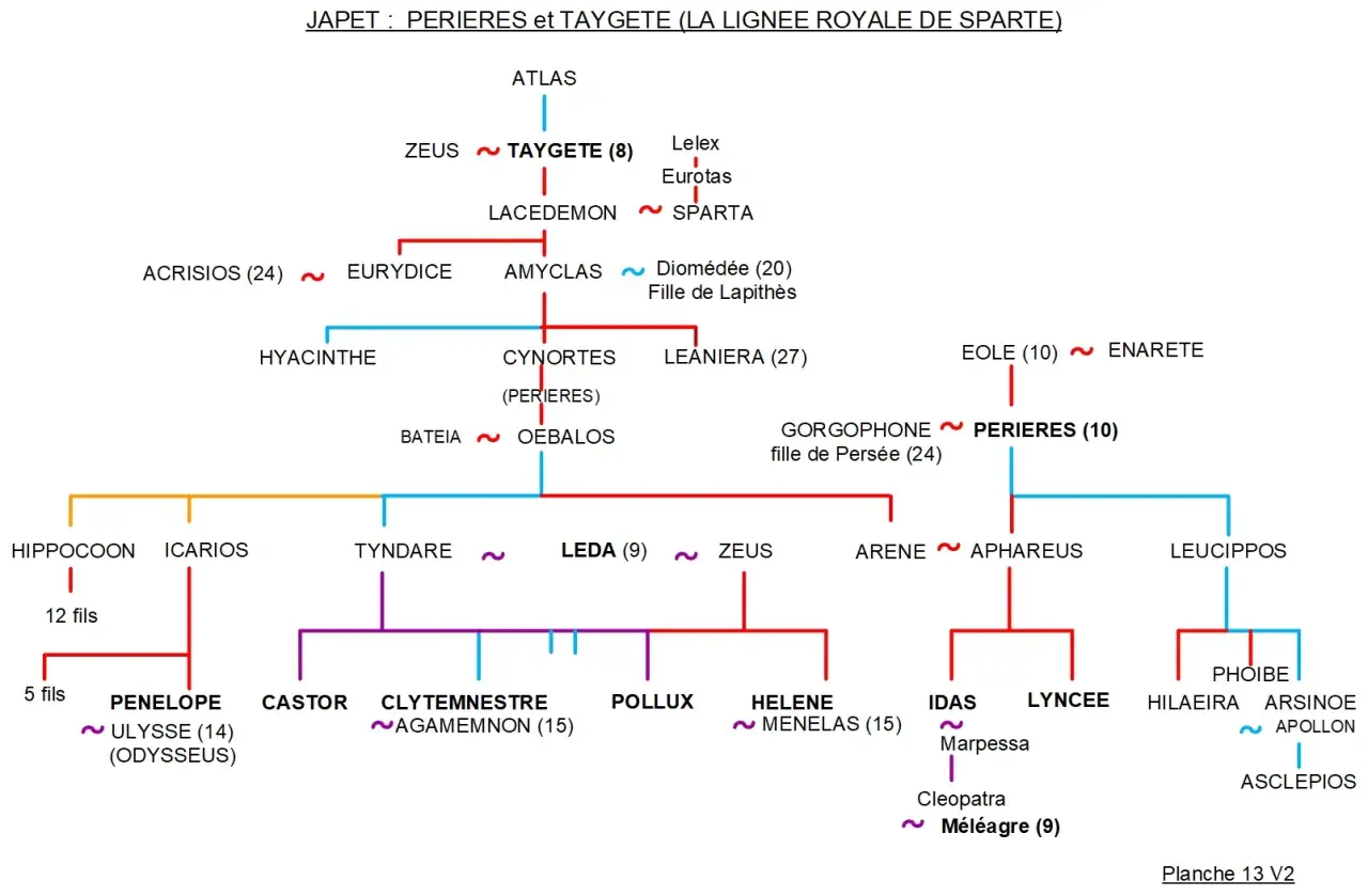 Arbre généalogique montrant la lignée royale de Sparte. Pénélope, femme d'Ulysse, est la fille d'Icarios.