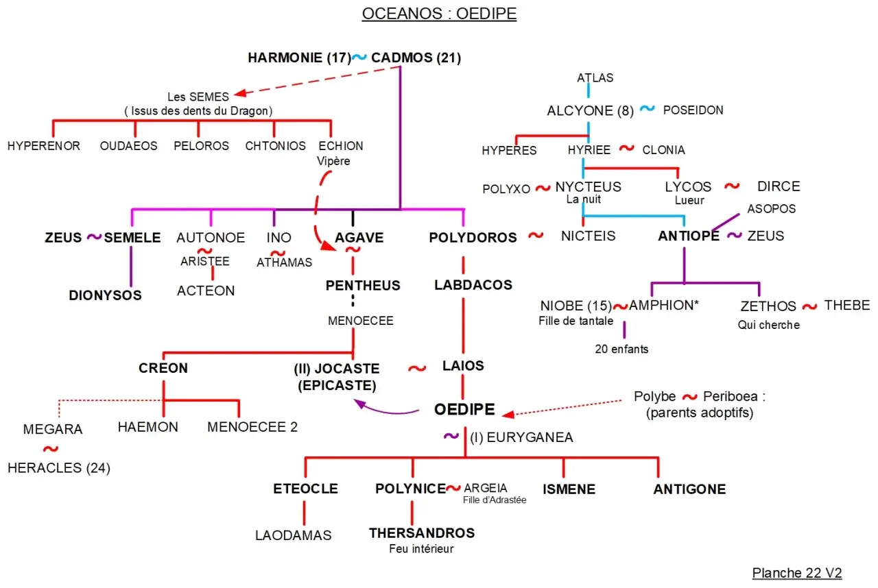 Arbre généalogique d'Œdipe, montrant ses ancêtres et descendants, y compris ses parents Laïos et Jocaste.