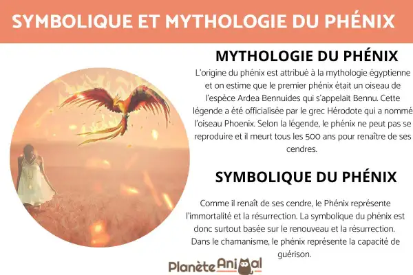 Un phénix flamboyant s'envole au-dessus d'une femme agenouillée, symbolisant la renaissance et l'immortalité dans la mythologie.