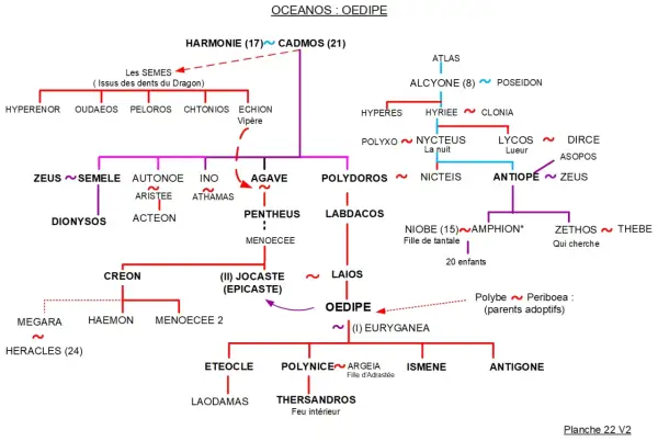 Arbre généalogique d'Œdipe, retraçant ses ancêtres et descendants, de Cadmos à ses fils.
